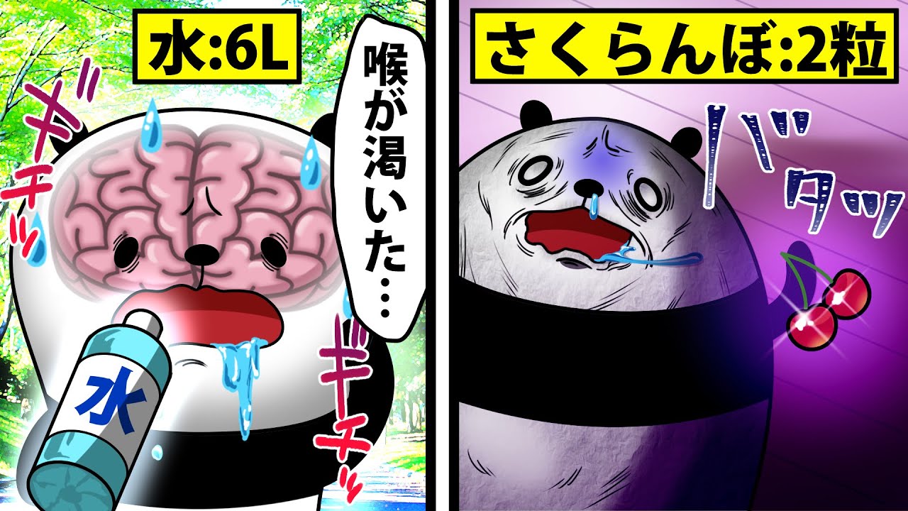 テイコウペンギン アニメ 本当は恐ろしい身近な物の致死量 普段食べてる も マンガ動画速報 テイコウペンギン アニメ 本当は恐ろしい身近な物の致死量 普段食べてる も マンガ動画速報