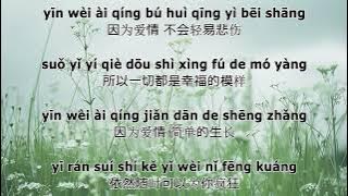 yin wei ai qing - 因为爱情 Lyrics song