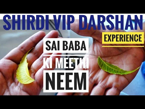 Shirdi VIP Darshan | Paid Darshan In Shirdi Sai Mandir | Experience Shirdi Sai Baba Darshan | #sai