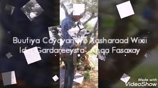 Beeshii Direed Oo Hub Qadatay 4 Beynajaho - Maxaa Helay - Beelaha Direed