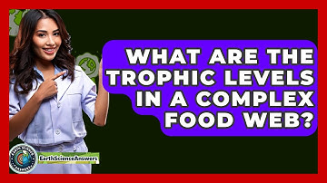 What Are The Trophic Levels In A Complex Food Web? - Earth Science Answers