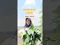 berkebun bikin hemat dapur #berkebundirumah #gardening #garden #berkebun #homegarden #panensayuran