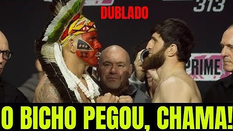 PEGOU FOGO! VEJA A ENCARADA ENTRE ALEX POATAN E MAGOMED ANKALAEV PARA UFC 313