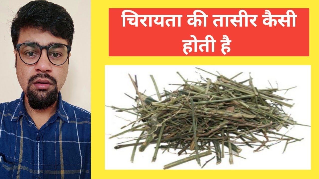 Chirata ki taseer kaisi hoti hai YouTube