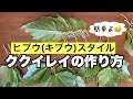 【ククイレイ】ヒプウ(キプウ)スタイル / レイの作り方