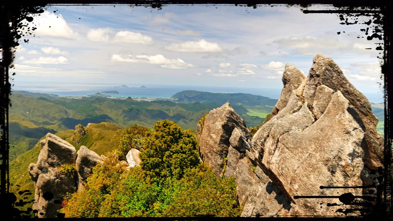 HIDDEN Pinnacles Adventure 🇳🇿 Best Hike in Coromandel Peninsula, New Zealand