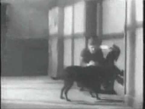 The Dam Busters: McGoohan's first movie