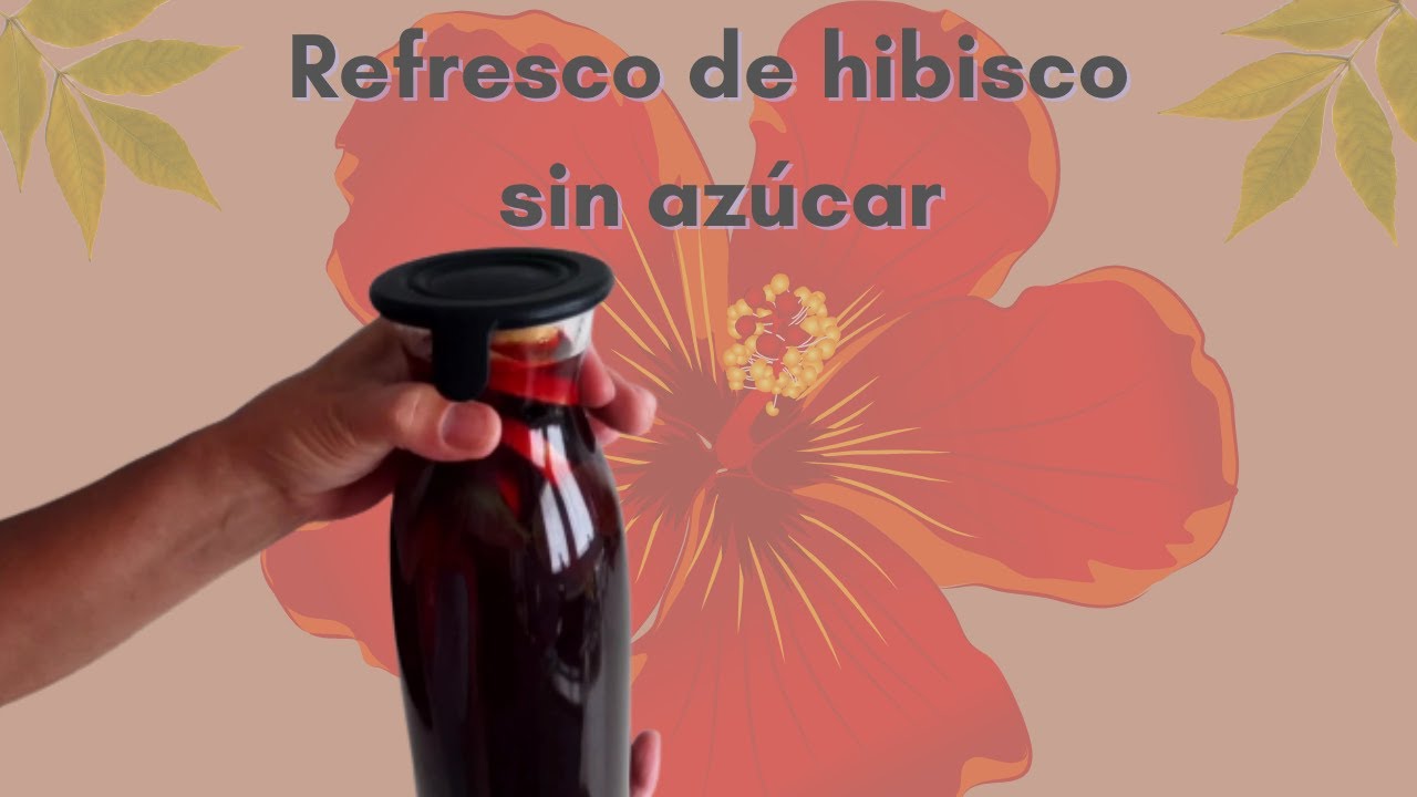 Refresco y/o infusión de hibisco sin azúcar - YouTube