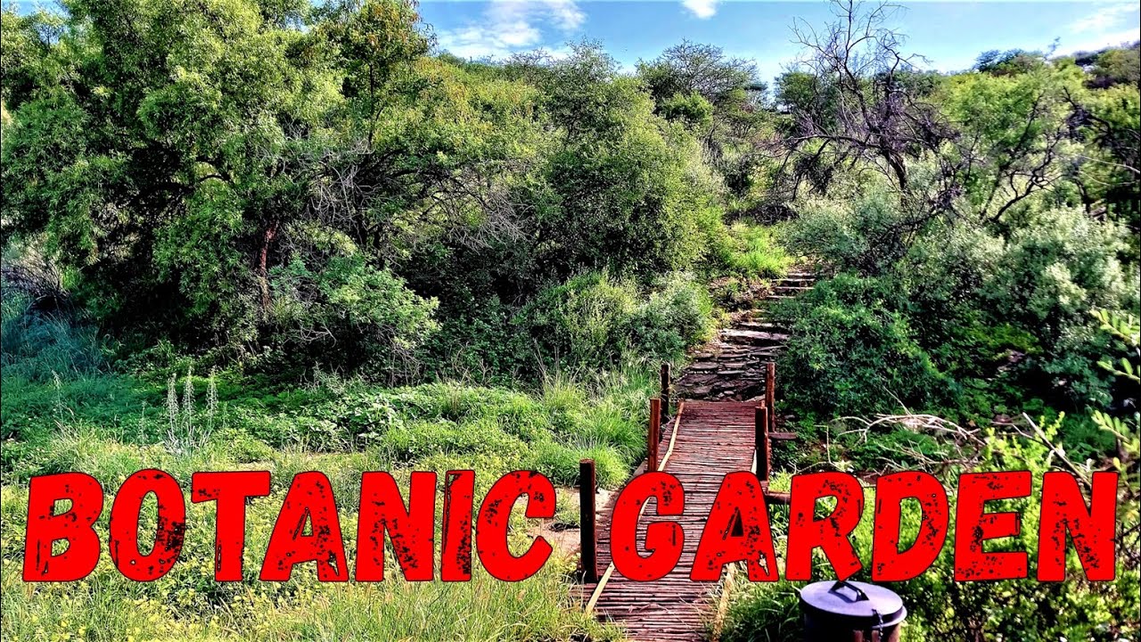 2017-national-botanical-gardens-excursion-windhoek-namibia-southern