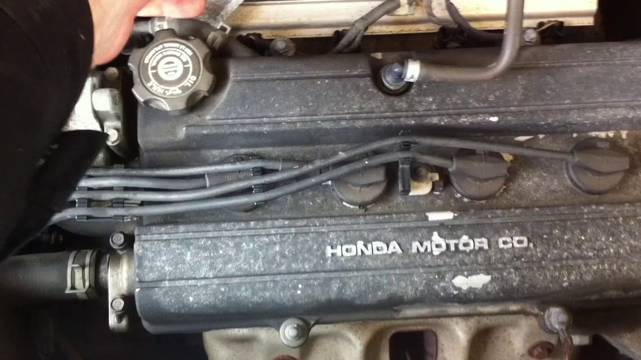 Мотор b20b характеристики