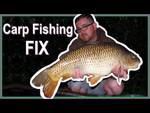 Carp Fishing Fix.