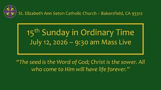 Fifteenth Sunday in Ordinary Time - July 12, 2026