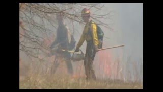 BLM-ES WILDFIRE: Program Overview