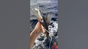 The Thrill Of Hooking A Giant Tuna 