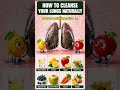 Your Lungs Need This! 🫁 Natural Ways to Detox &amp; Support Lung Health