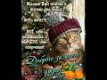 #bestwishes#goodmorning#buongiorno#piano#доброеутро#доброгоутраихорошегодня#gatto