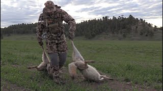 Aggressive Calling Helped Kill 11 Coyotes! | Strategies & Techniques Revealed!