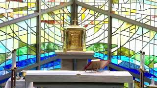 The Gentle Heart of Christ: Building a Welcoming Parish Community