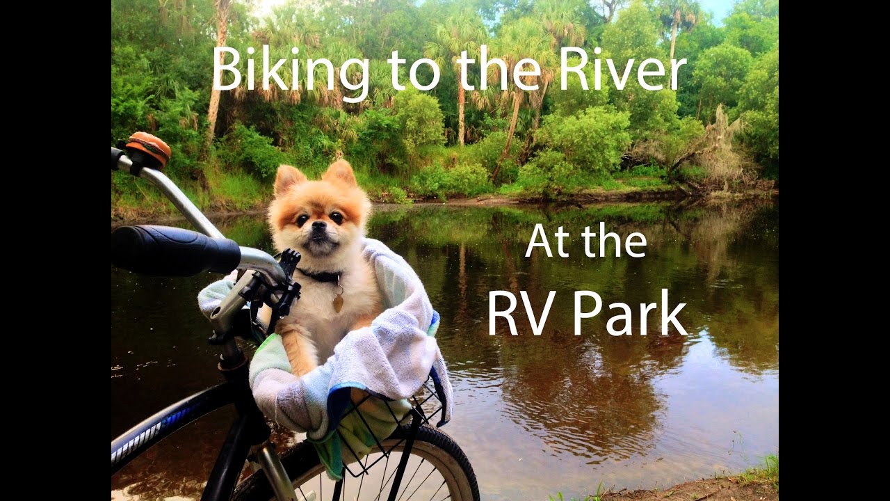 RV Activity: Biking at the RV Park