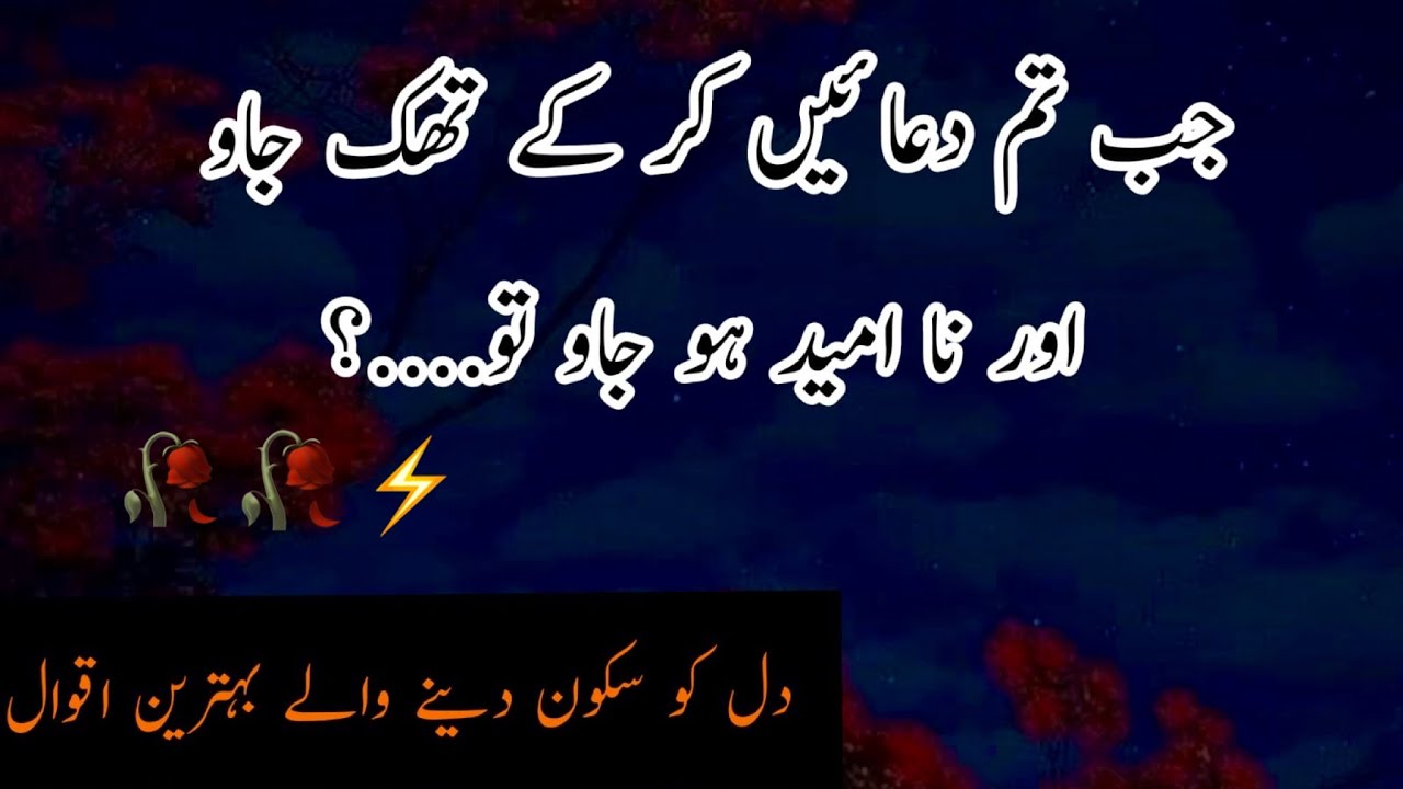 Bht Jald Tumhari Duan Qabool ki jayengi | Urdu Quotes | Best Urdu Lines ...