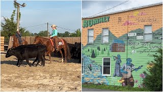 National Reined Cow Horse Competition |  A quick stop @ The Wild Roots Cafe