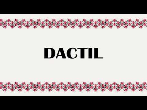 DACTIL (definiție DEX)