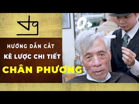 uốn con sâu mullet