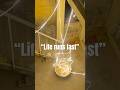 Life sucks ✅.#ytshorts#yt#life#facts