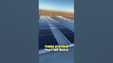 Did You Know That Mushroom Farming has The Biggest ROI in Farming (2) Book A Call Or Read More via L