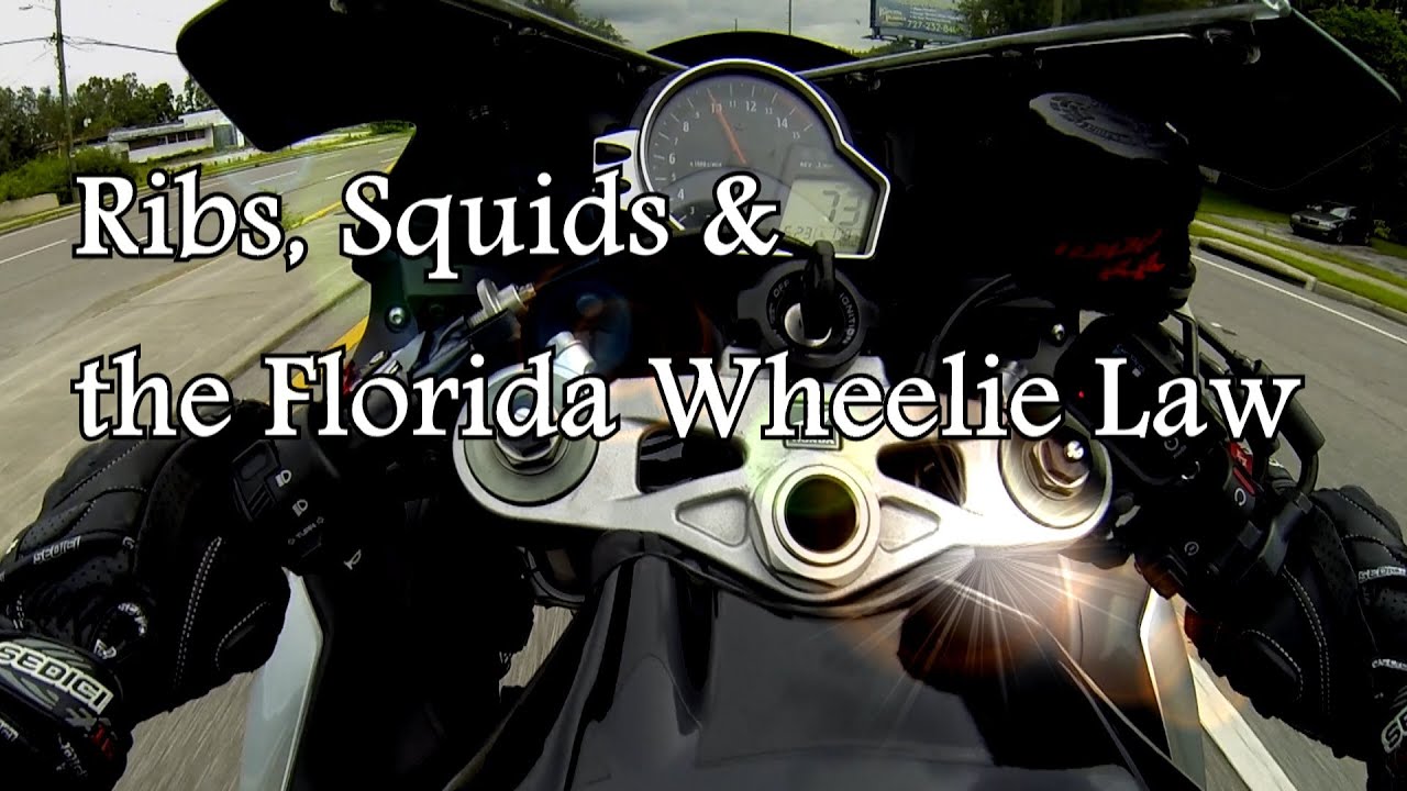 squids ribs and the florida wheelie law YouTube