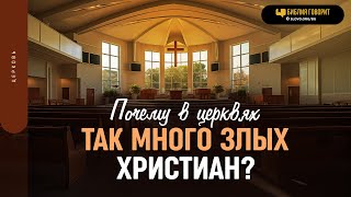 Почему в церквях так много злых христиан? | 