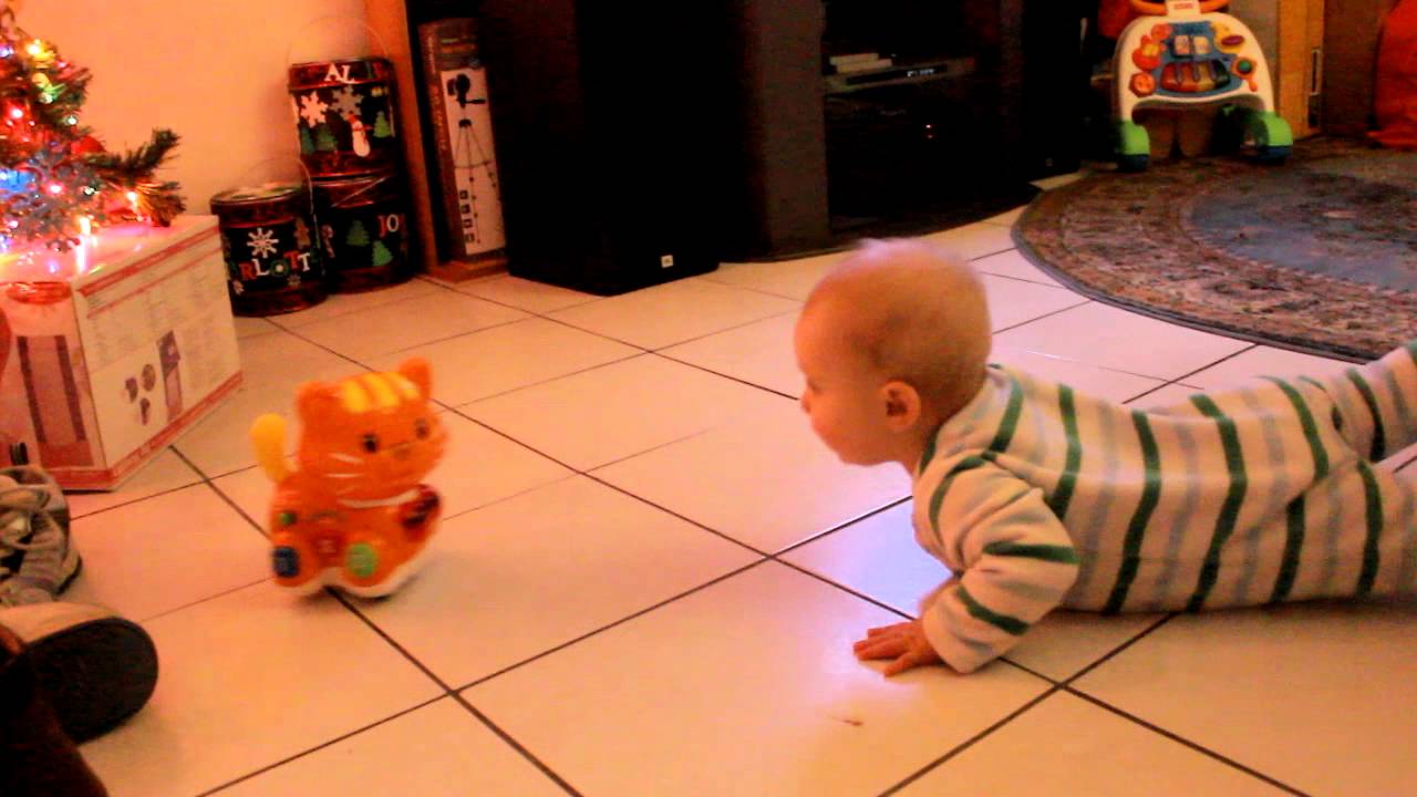 vtech catch me kitten