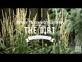 Pictures Grasses With Landscaping