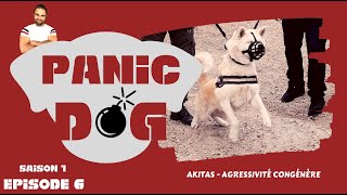 Esprit Dog : PANIC DOG  S1 EP6 : AKITA INU AGRESSIF