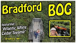 Bradford NH Hidden Gems: Bradford Bog and Rare Atlantic White Cedar Swamp