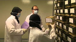 Behavioral Pharmacology Lab (Animal Laboratory Facility) - A CRO Lab