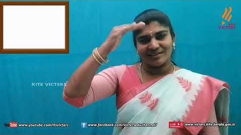 KITE Palakkad STD 6 Basic Science Chapter 2 Episode 7 (First bell Tamil medium - பஸ்ட் பெல்)