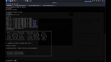 WordPress Plugin Exploits: Multiple Hacking Techniques | CTF & Penetration Testing