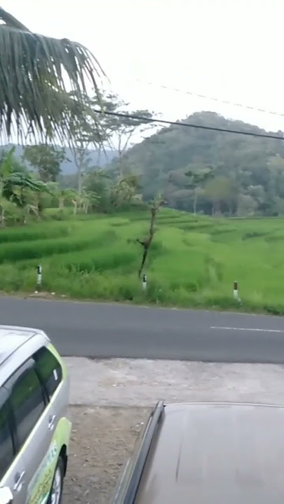 Sensasi Kopi... #kopiampirono #shorts #shortvideo