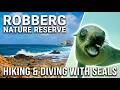 Robberg Nature Reserve: Point Circuit Hike + Seal Dive | Plettenberg Bay (2026)