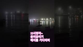 잠 이룰 수 없는 맥전포~ #바다낚시 #보트낚시 #야간낚시 #낚시 #문어