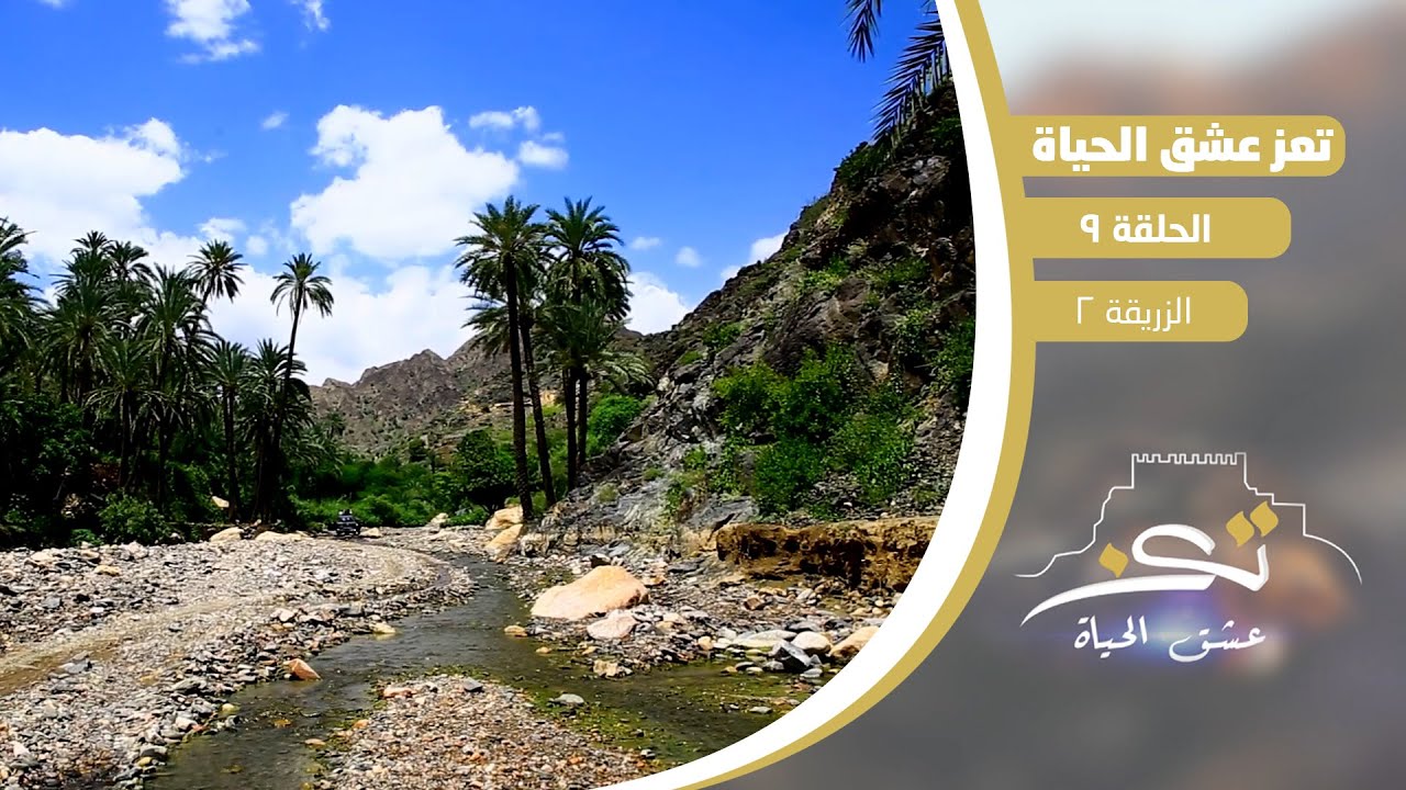 تعز عشق الحياة | الثقافة والتاريخ والجمال | الحلقة 9   - الزريقة 2