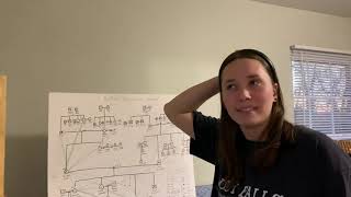 Genogram Presentation