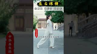 Waist &amp; Leg Workout: Side-to-Side Sweep Yuji Baduanjin Home Exercise