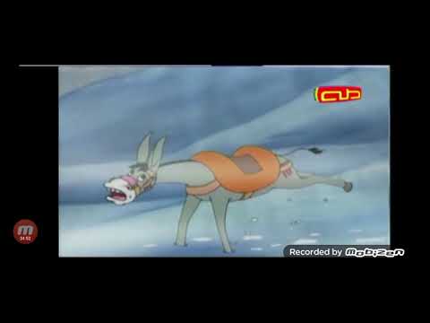 سلمى واللقلق قناة طه للاطفال