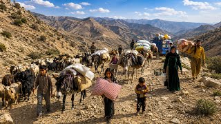 ⛰️End of the seasonofnomadiclife in the mountains|Amazing migrationof nomads in inaccessiblevalleys🌄
