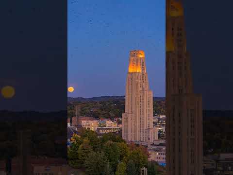 The full Harvest Moon rising over the Cathedral of Learning - A Pittsburgh Timelapse