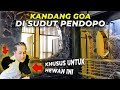 #96 PENDOPO | DIKIRA JADI KANDANG BIASA, TERNYATA KANDANG BINTURONG HASILNYA MENCENANGKAN