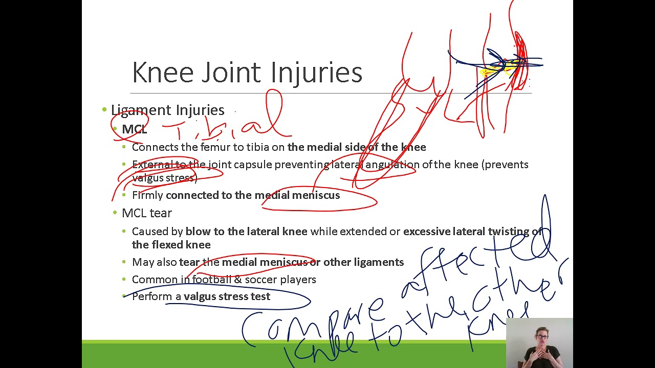Clinical Anatomy Lower Extremity: Knee Joint Injuries