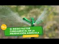 El riego factor fundamental en la producción agrícola - TvAgro por Juan Gonzalo Angel Restrepo